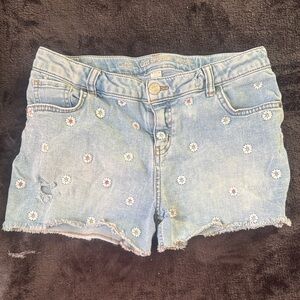 Cat & Jack Light Blue Floral Embroidered Jean Shorts